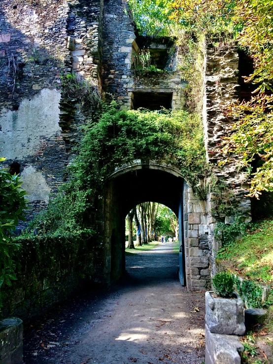 a pathway leads into a large old castle with trees growing up all over it