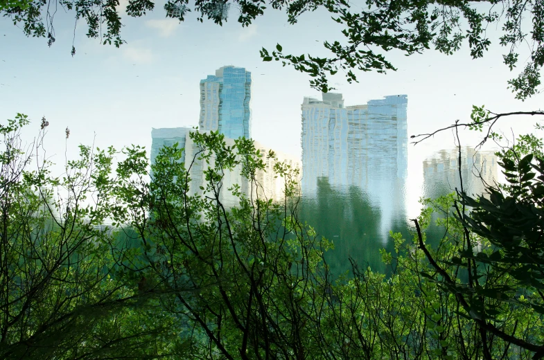 a city skyline with trees, and a blue sky