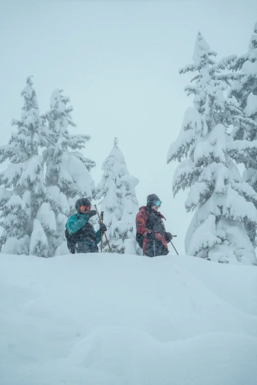 two people with skis sitting in the snow