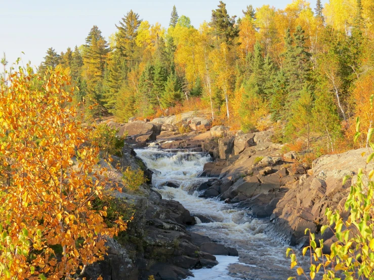 a very tall stream in some big pretty trees