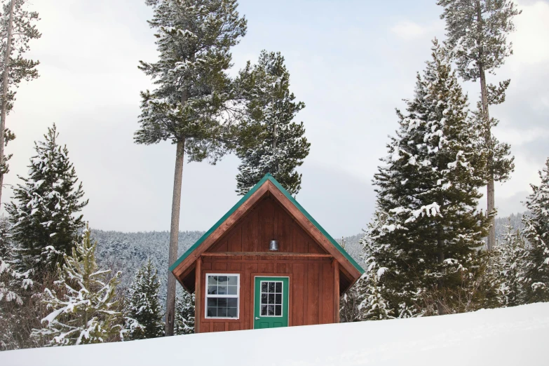 a log cabin in the snow surrounded by trees