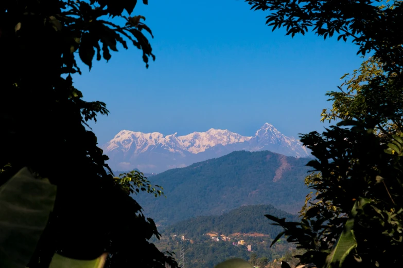 mountains are seen through green leaves on a clear day