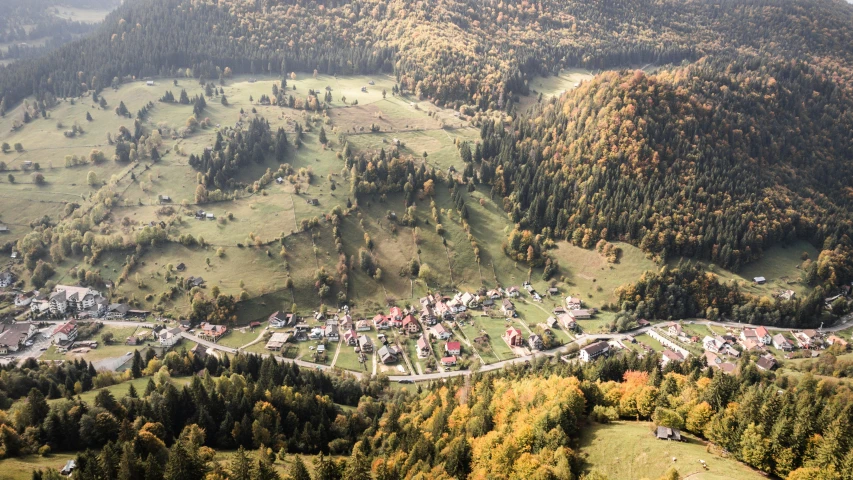 an aerial view of a village surrounded by woods and mountains