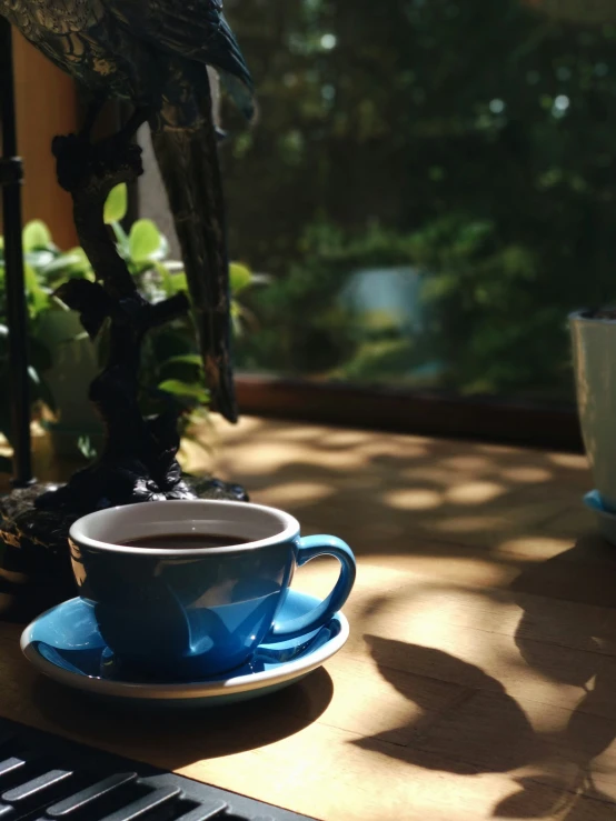 a blue cup sitting on top of a wooden table next to a laptop computer