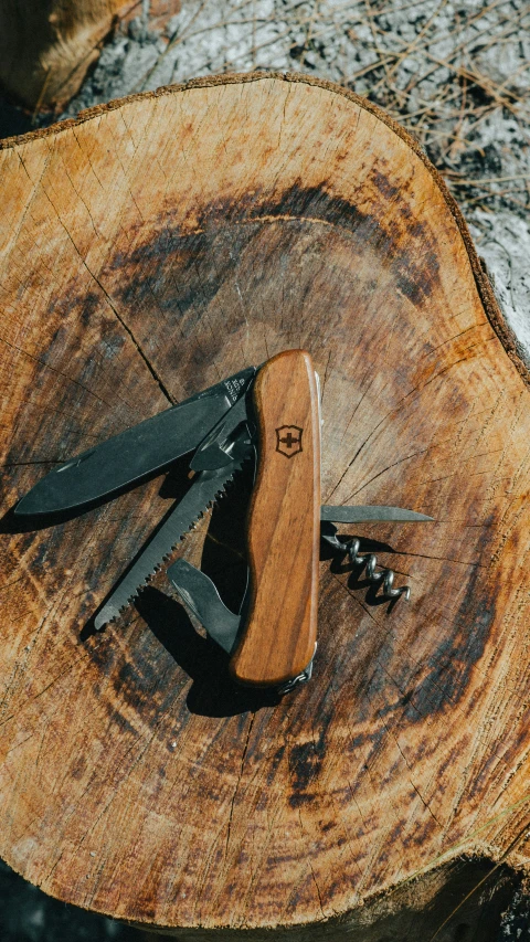 a knife laying on top of a wooden stump