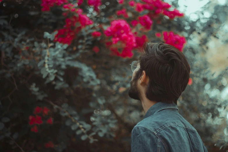 a man looking at a tree with pink flowers in the background