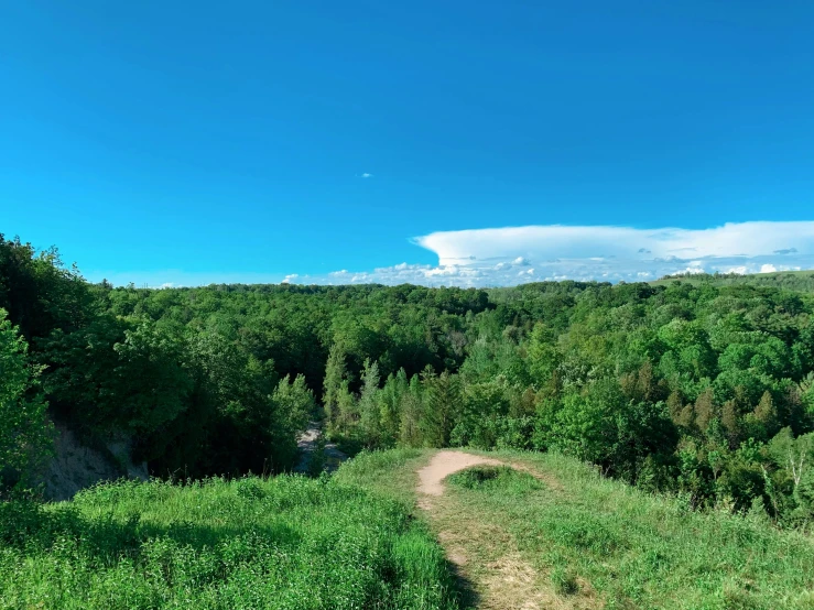 a dirt road and trees are leading through the valley