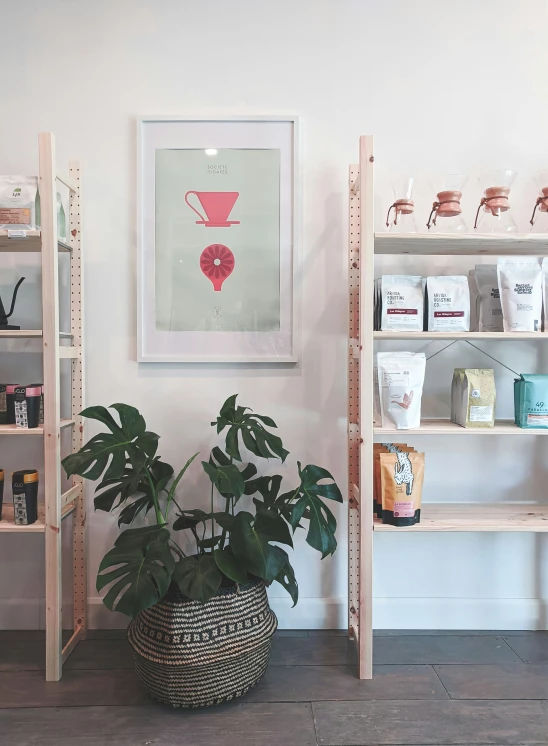 a white wall with various shelves and plants in it