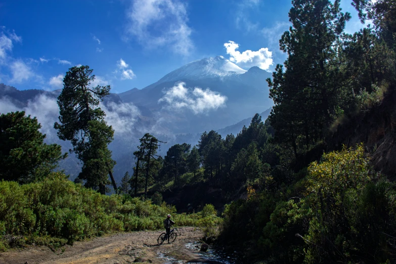 a man on a dirt road with trees and a mountain in the background