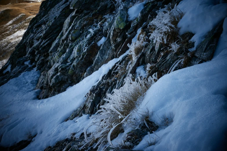 the slopes of a snowy mountain with grass growing up them