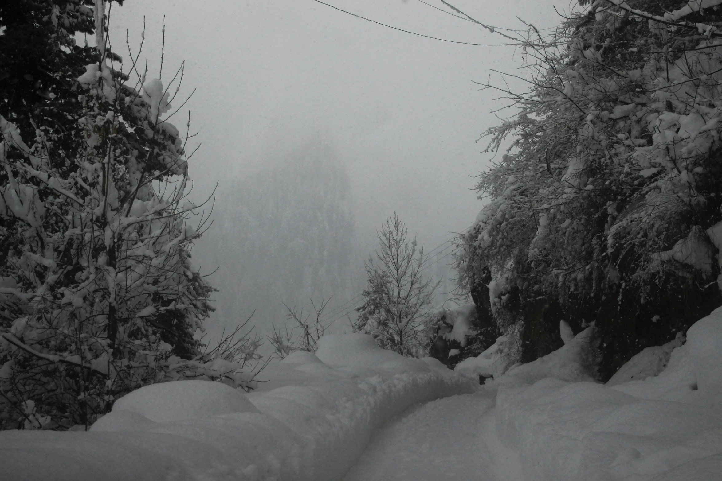 a path through snow covered trees and snow - dusted ground