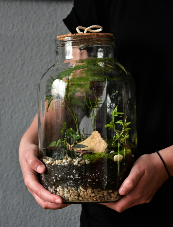 a person holding up a large jar with plants inside
