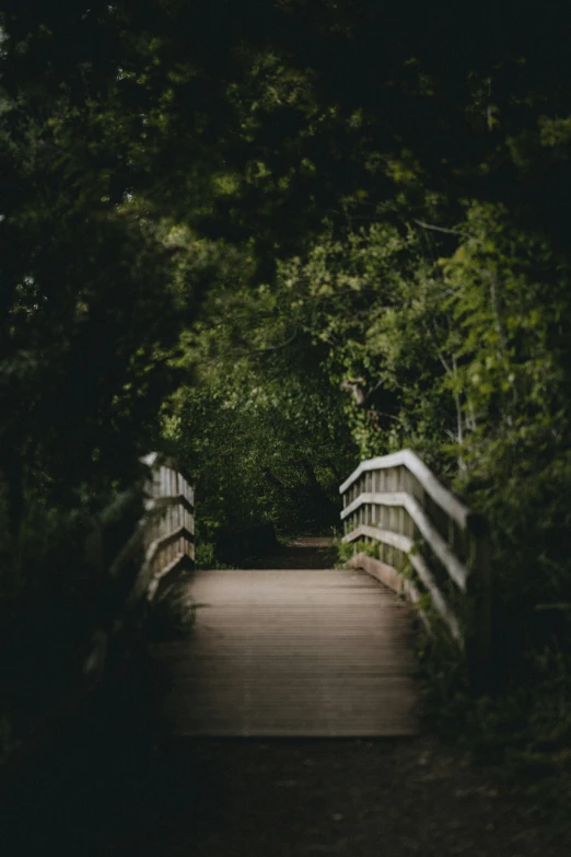 a walkway that goes through the woods is very long