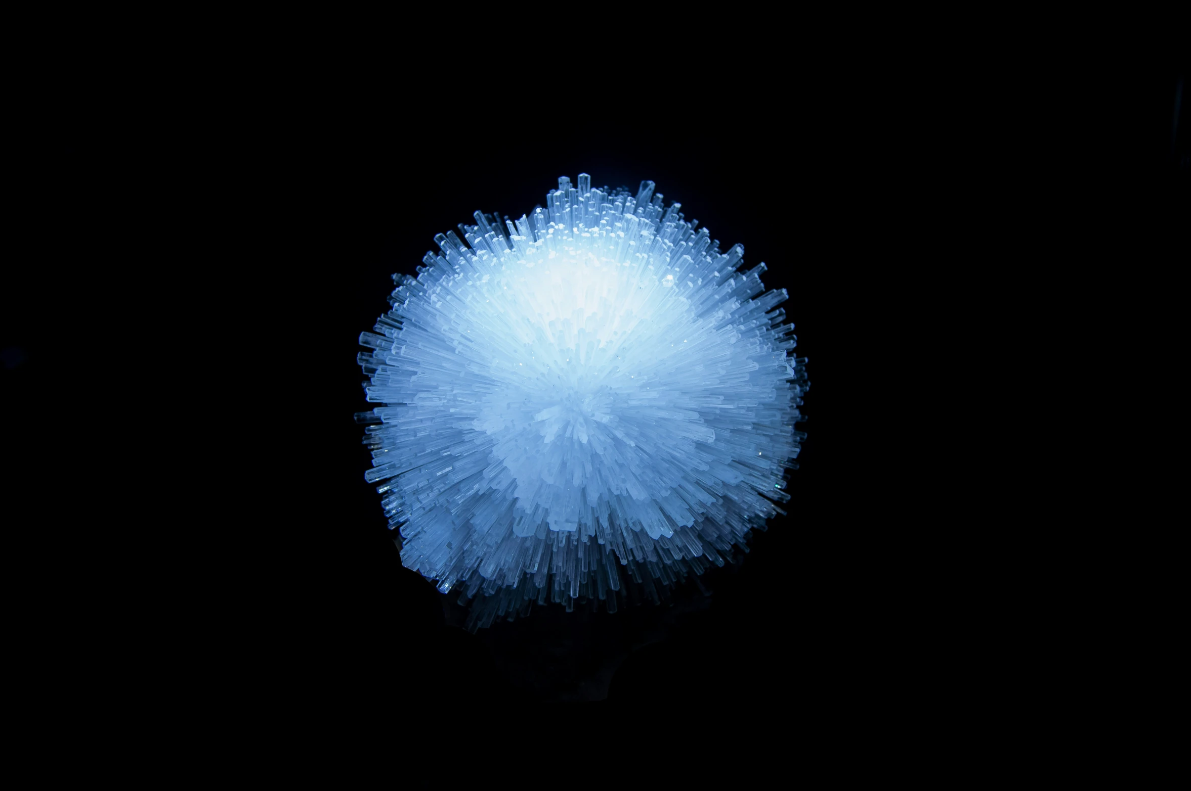 a large blue dandelion is shining on a black background
