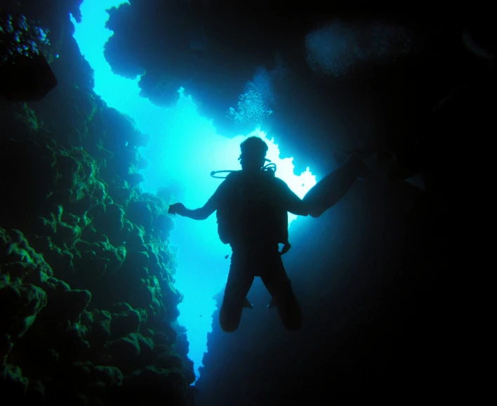 a person in silhouette standing next to a wall of corals