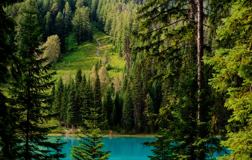 blue lakes surrounded by trees and green hills