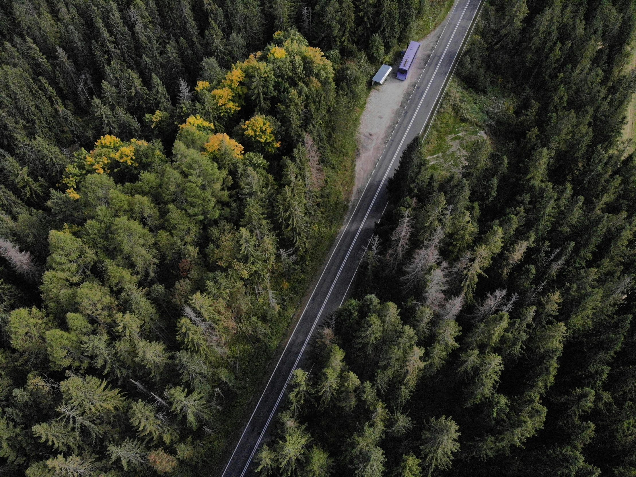 an aerial view of a truck parked on the road through trees