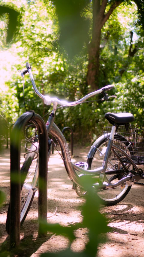 bikes are parked along a tree lined path