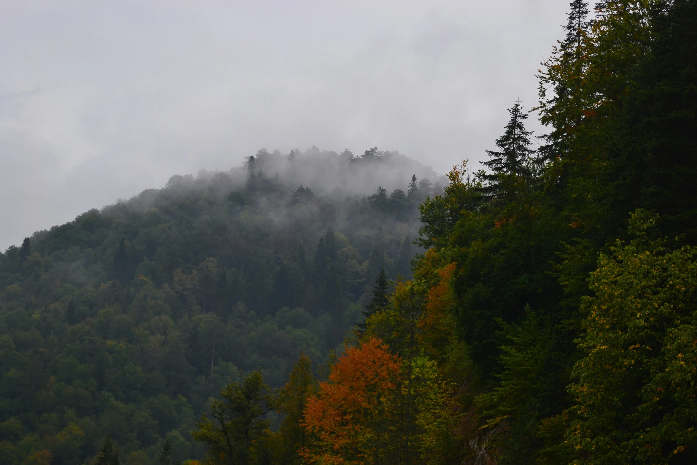 foggy sky above some trees and mountain