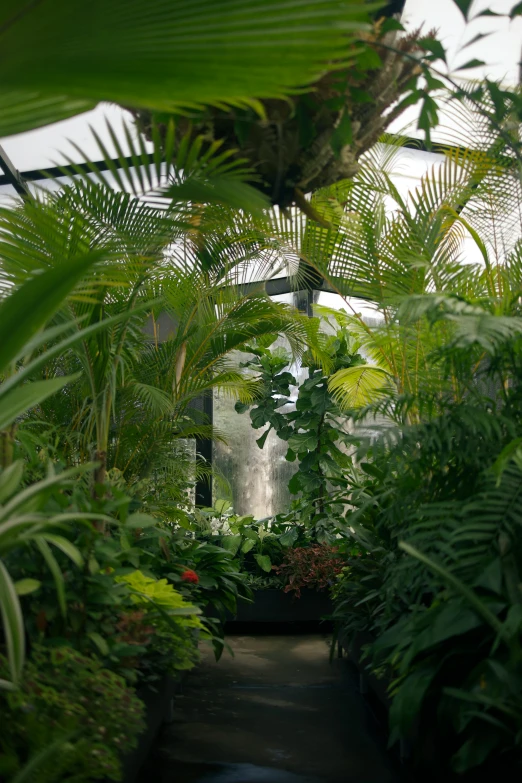 an umbrella is sitting on the ground near plants