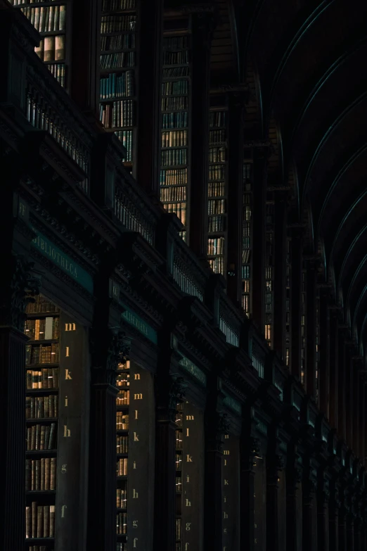 long, curving, long bookshelf with rows of lit - up books on the side