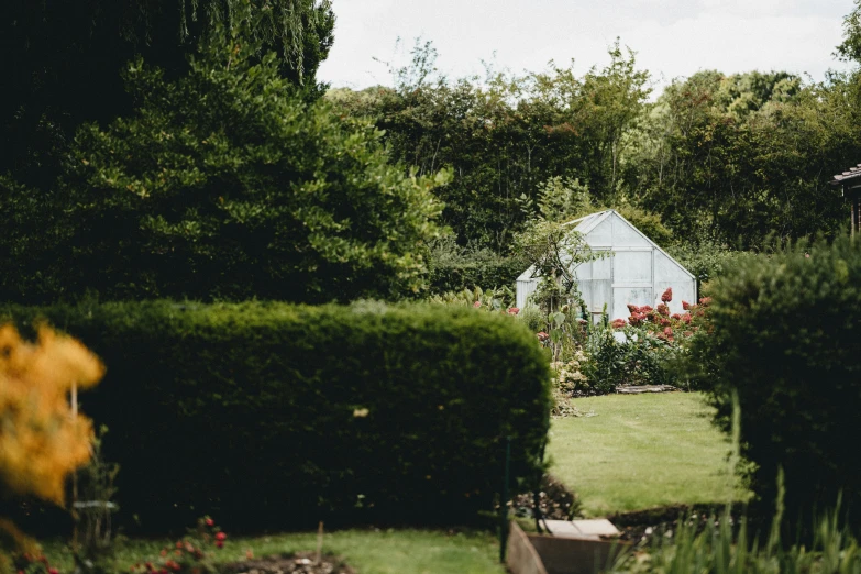 a garden has many bushes and flowers around it