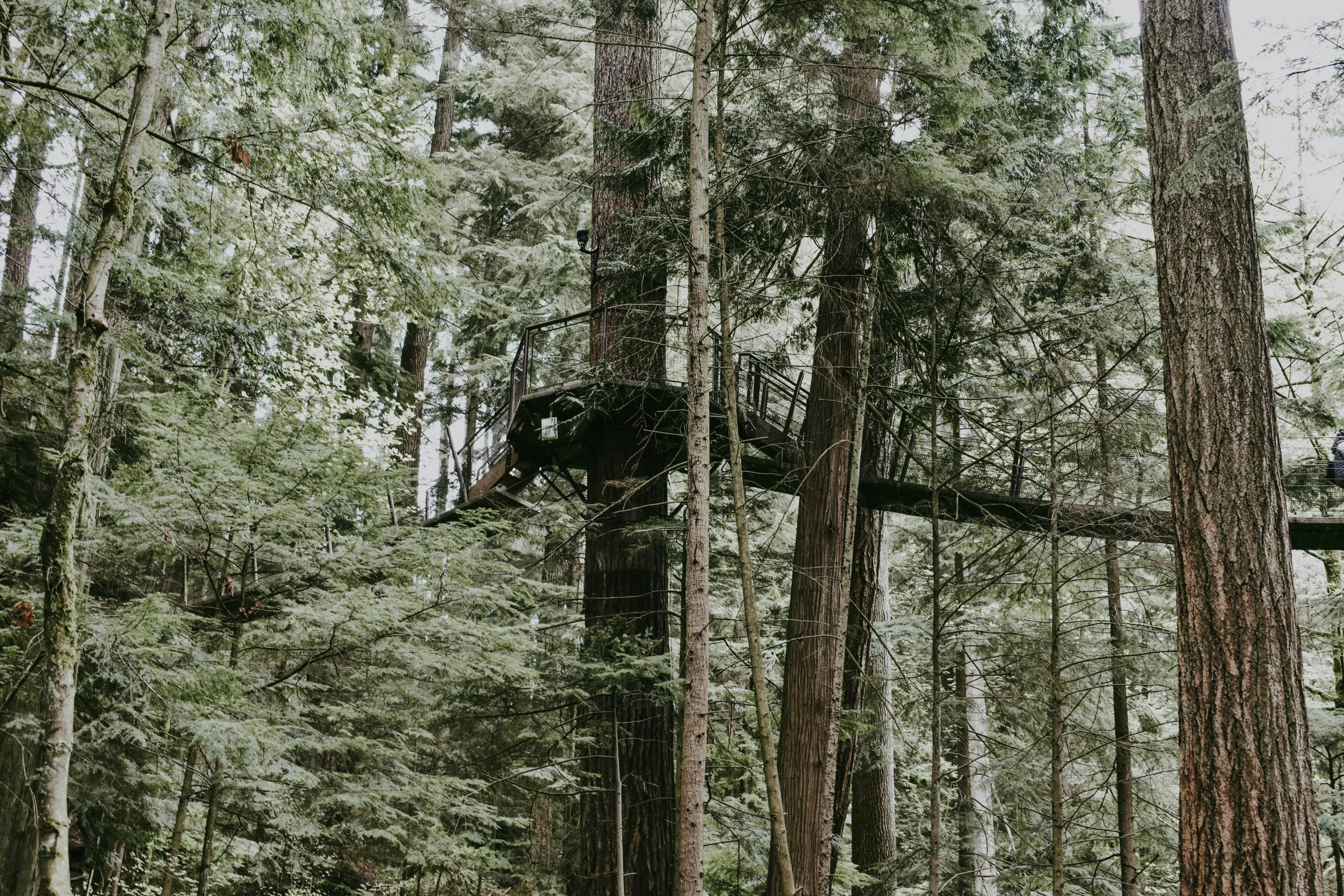 an image of people riding on tree bars