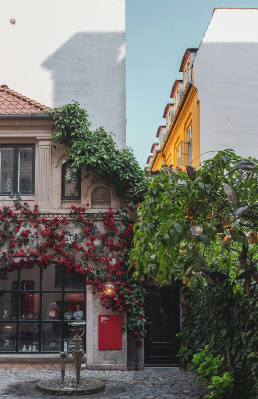 red flowers growing on a building next to a fountain