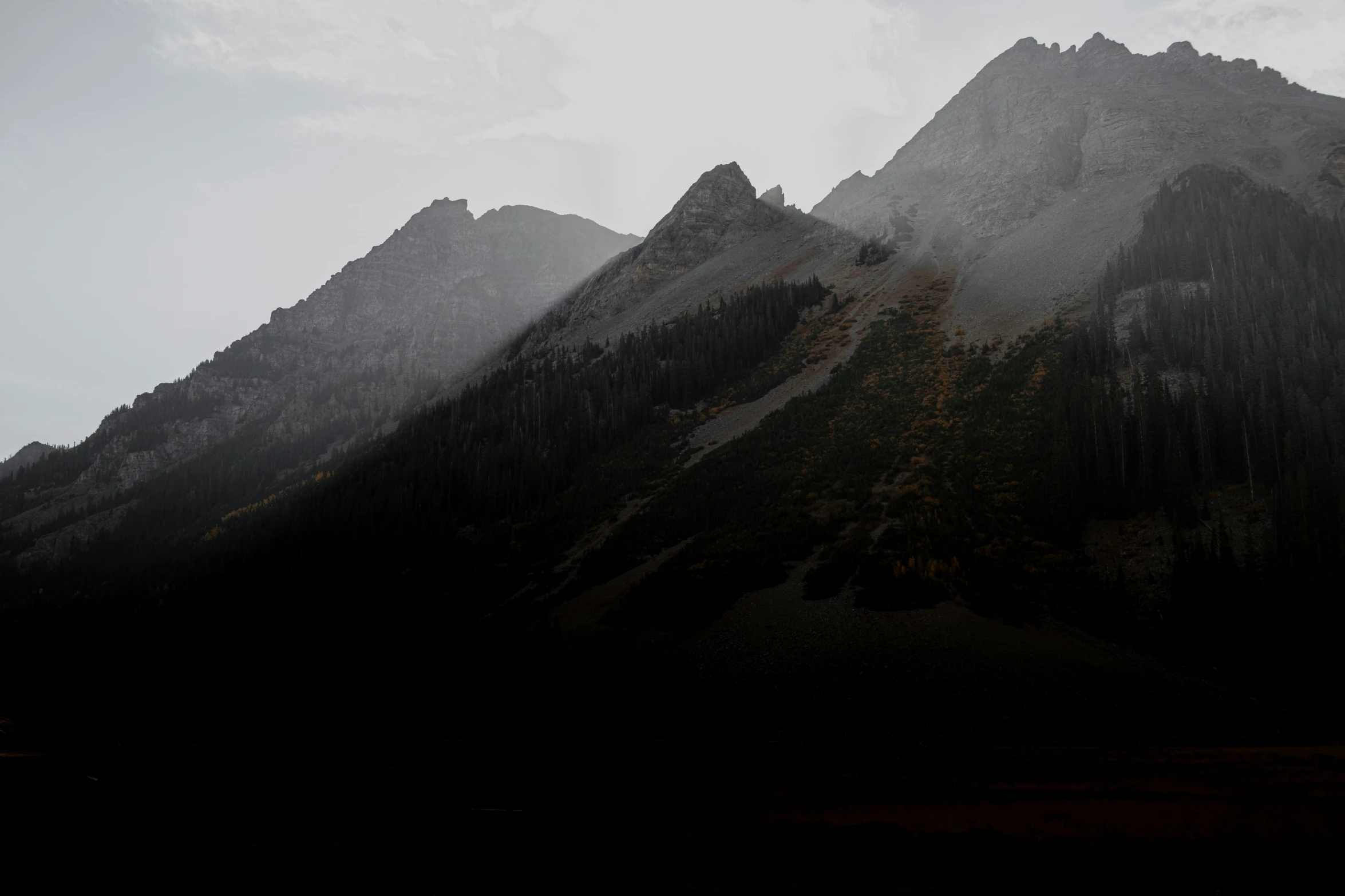 fog covers the mountains with trees and snow