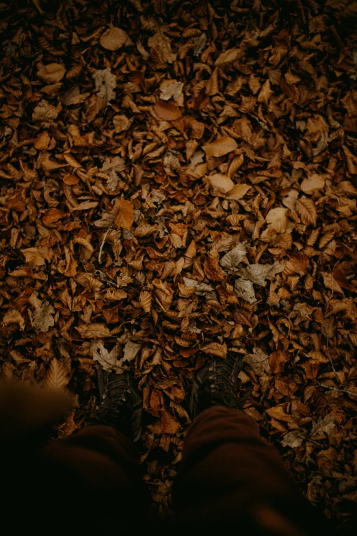 someone walking in the floor with some leaves around