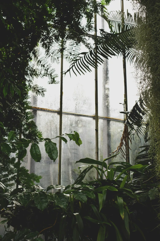 a house that has very many trees and plants in it