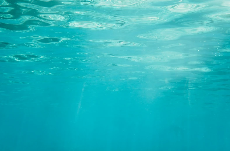 the top of a surfboard is underwater