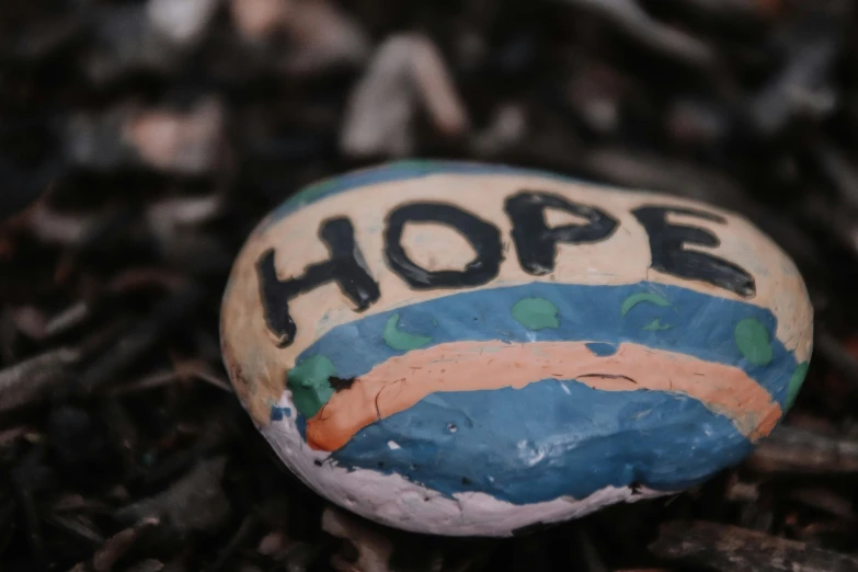 a painted rock is pictured here with the word hope written on it