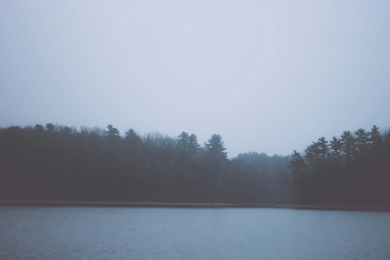 a large body of water surrounded by forest