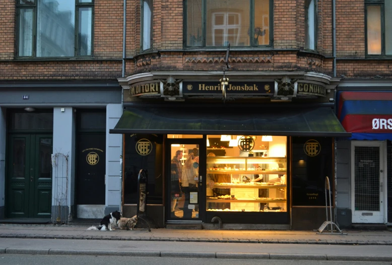 a dog lays on the sidewalk outside a business