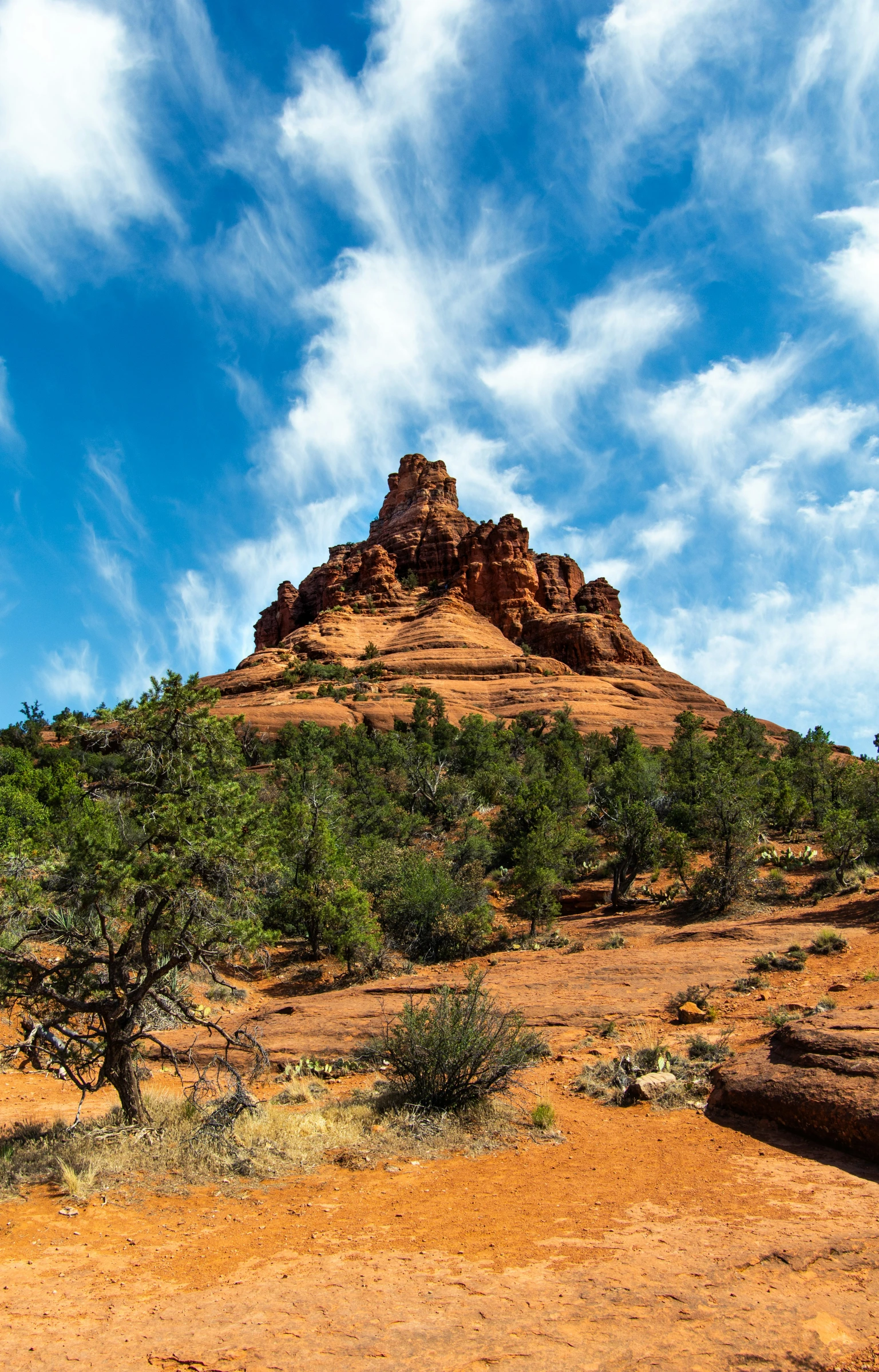 an image of a mountain with trees on top