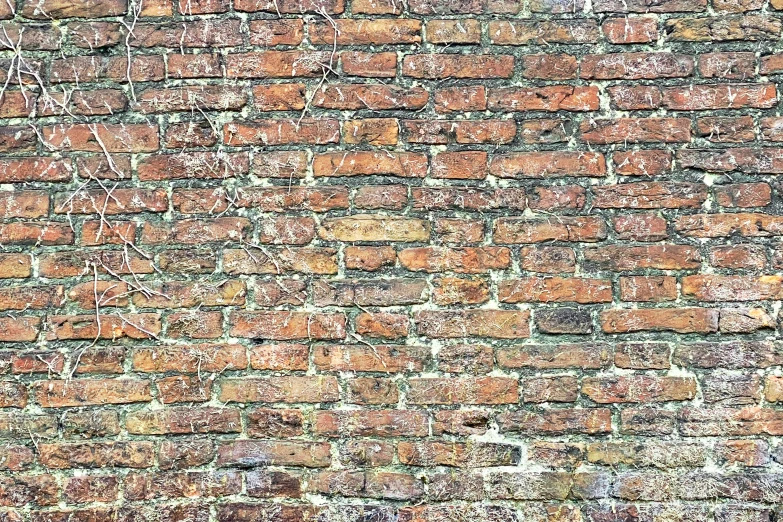 a brick wall that has some very big s