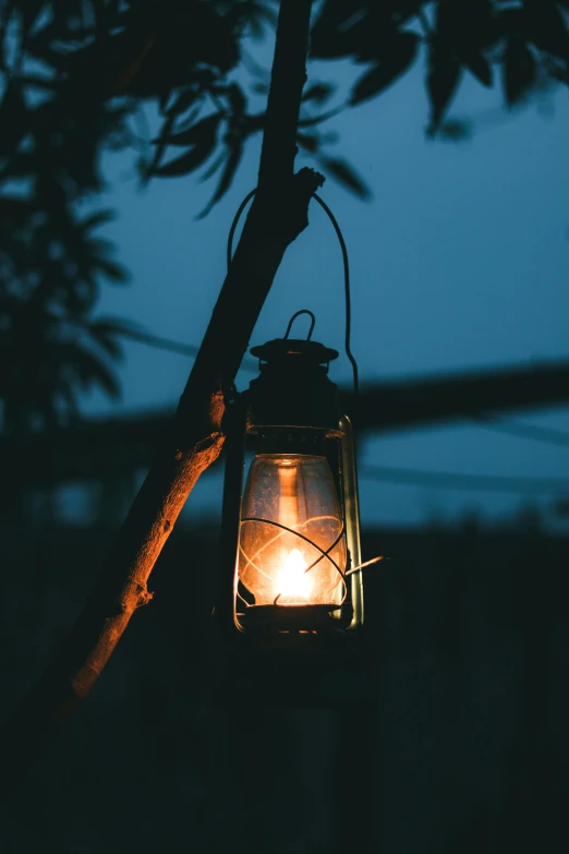 a lantern on the tree with a bright light shining