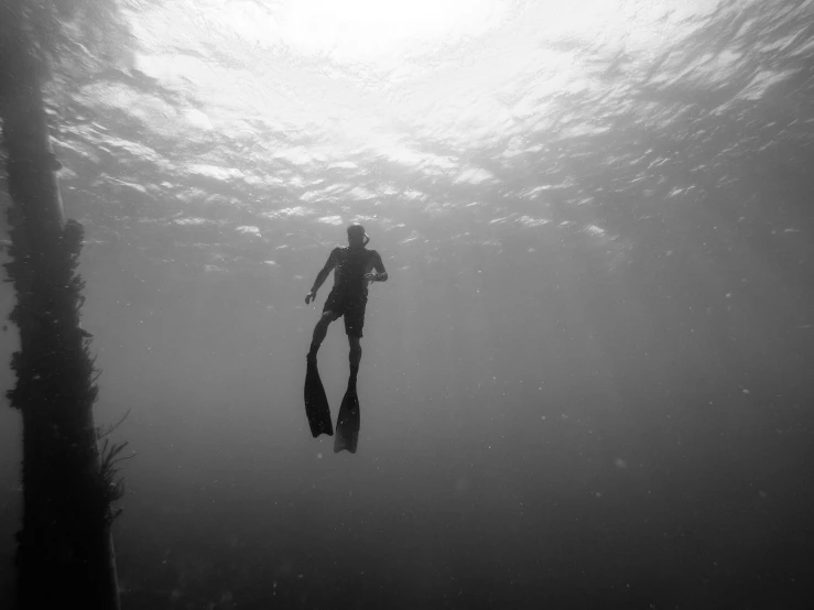 a man who is underwater with his diving gear