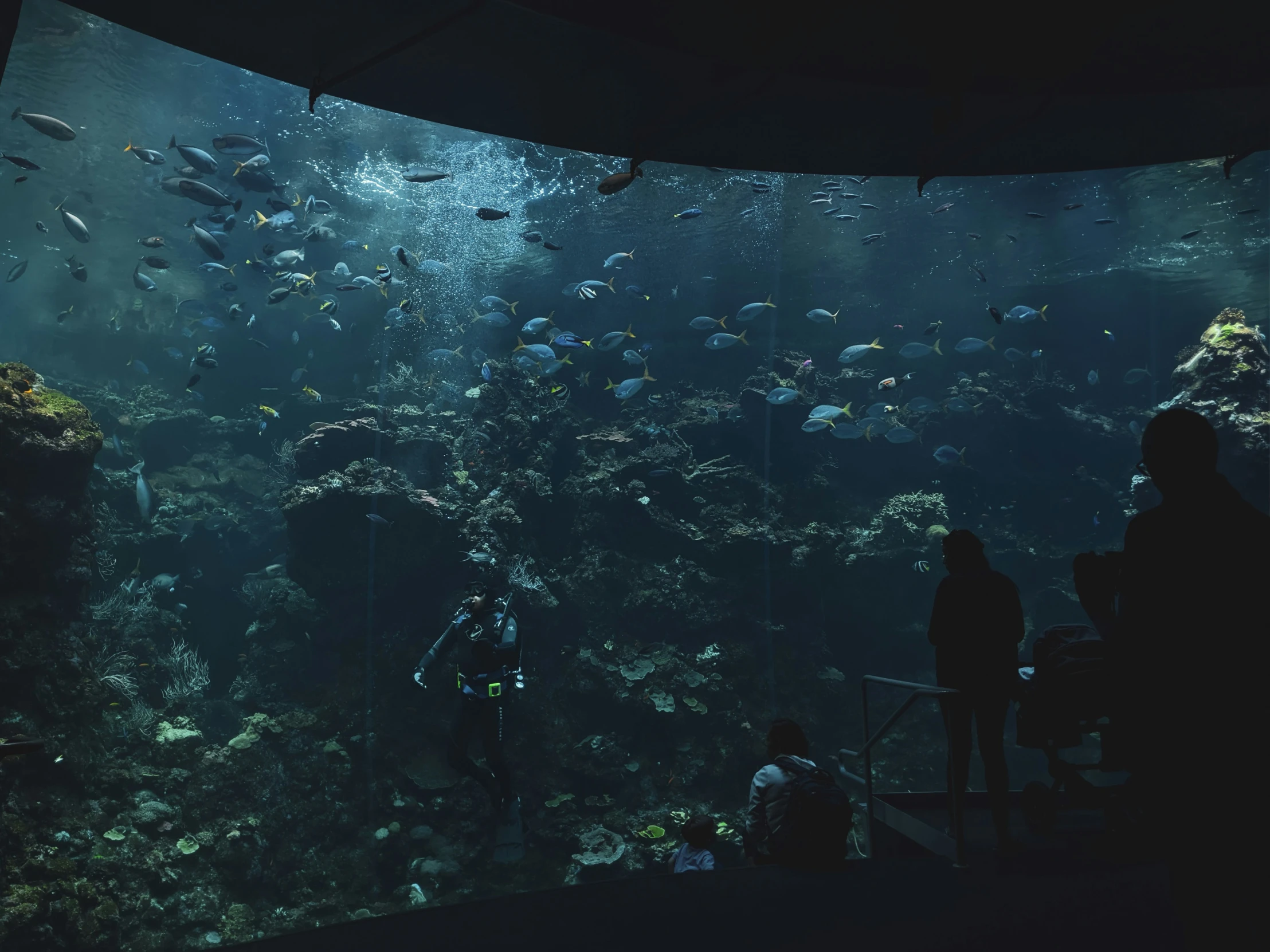 people look out the window at the seabed aquarium