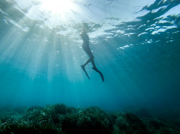 person diving underwater with a bright sun shining down