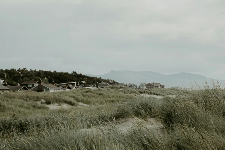 houses on the outskirts of a grassy plain with hills and trees in the background