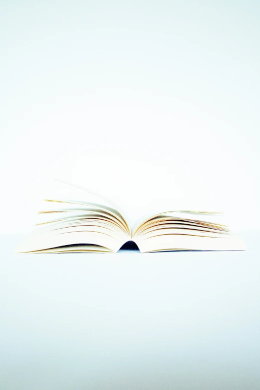 a book is shown open on a white surface