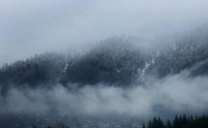 some green trees in a snow covered mountain side