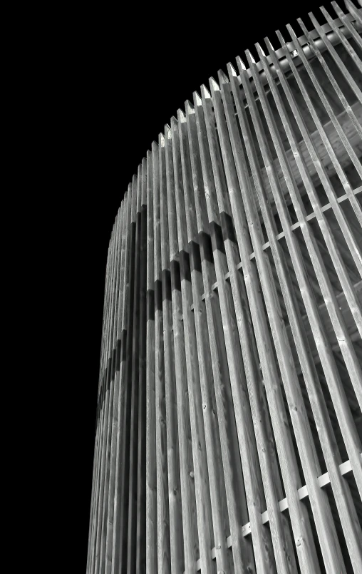 the top of an architectural building with lines and poles in black and white