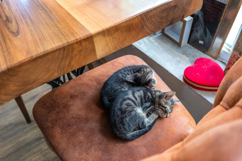 a cat is laying on a leather cushioned chair at a dining room table