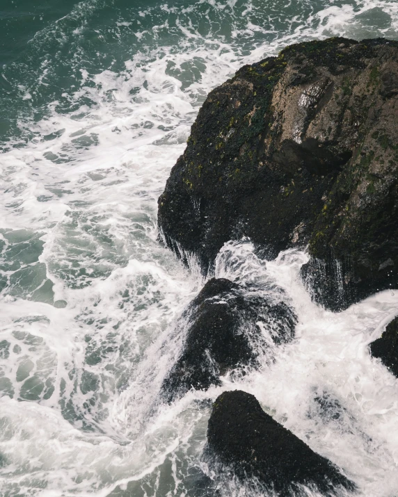 the bird sits on top of the rocks by the ocean