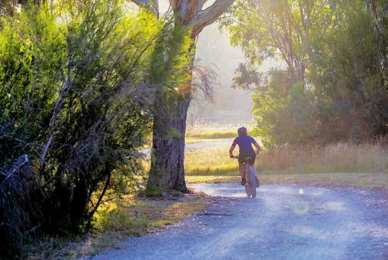 man riding bicycle down rural country road in sunset