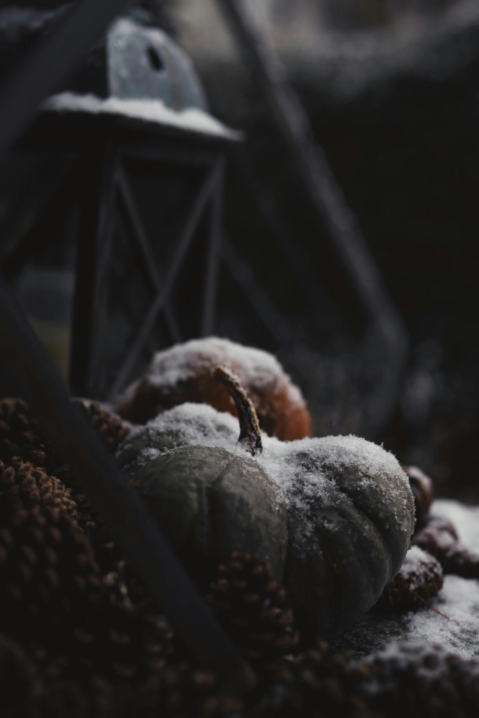 a bunch of food that is covered in snow