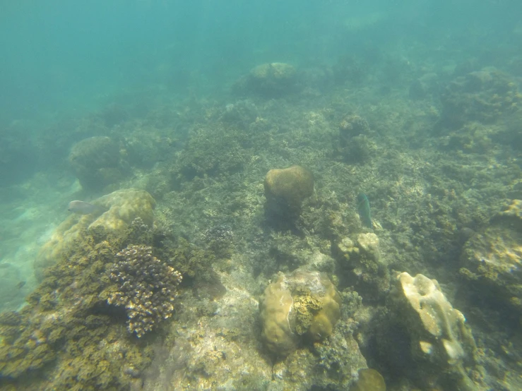 a small body of water near a shore line